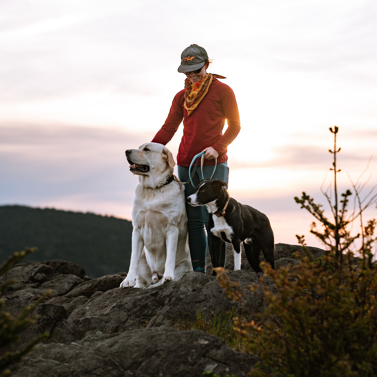 Luwello Coupler Leash for Two Dogs — 1" Belted