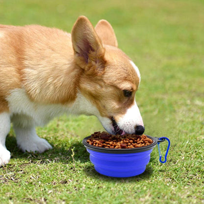 Collapsible Travel Dog Bowls — Set of 5 (Blue)