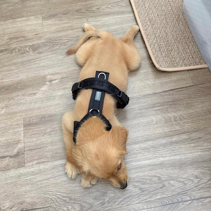 FURLOU Comfort Dog Harness — Black