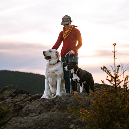 Luwello Coupler Leash for Two Dogs — 1" Belted